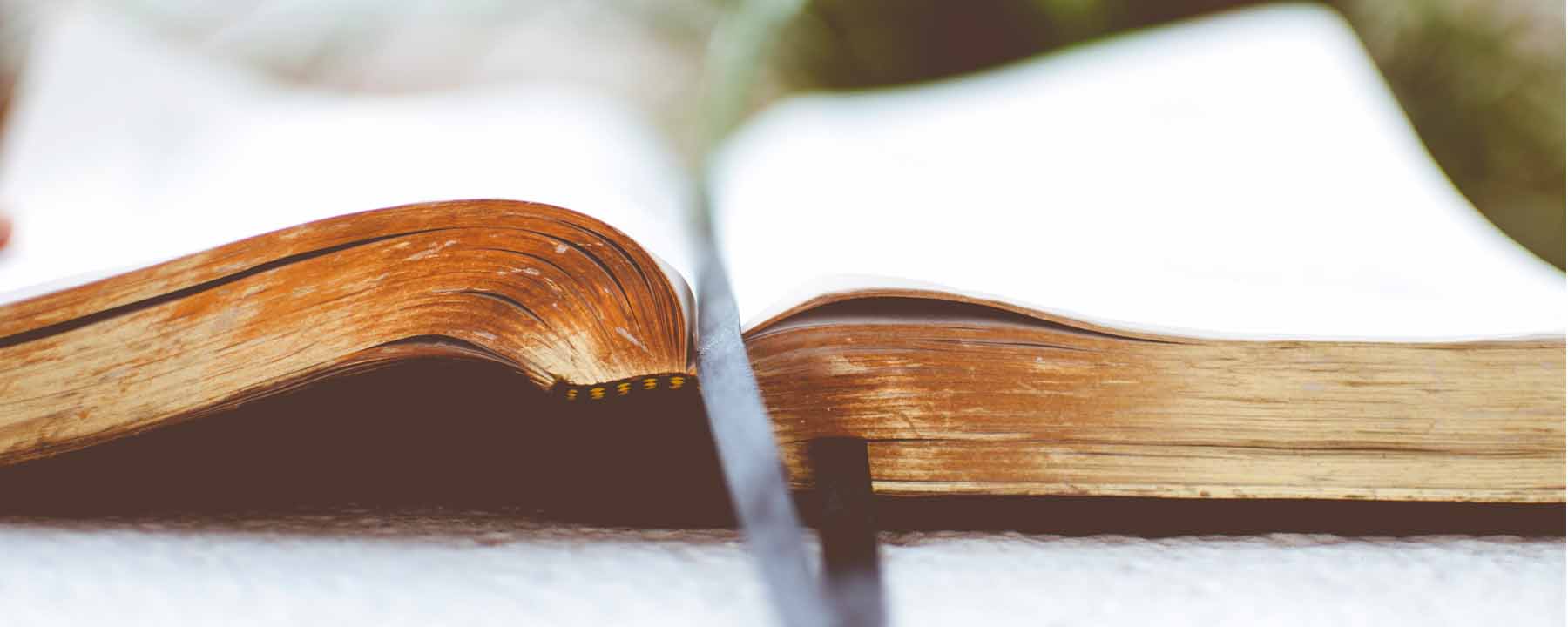 Sermon Series: II Samuel